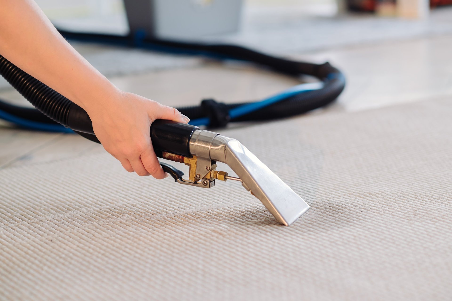 Professional carpet cleaning service