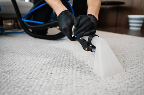 Carpet being cleaned with extractor