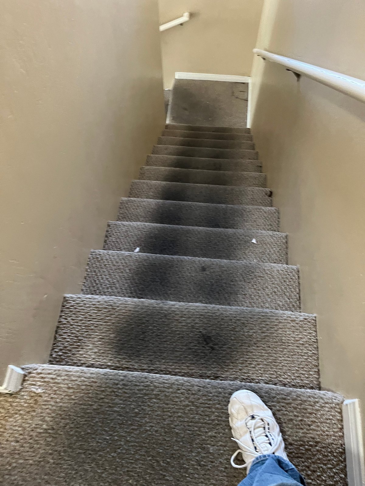 Person standing at bottom of carpeted staircase, elevated view looking up stairs with white handrails and beige walls