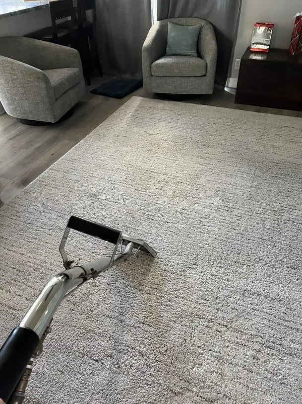 Professional carpet cleaning wand on light gray carpet in a living room with upholstered chairs and furniture in background